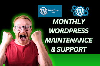 provide monthly wordpress maintenance, updates, and security support