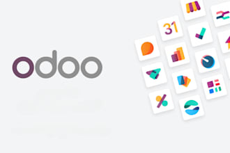 be your odoo functional consultant, provide training, support and implementation