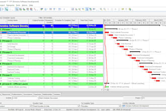 provide project planning and scheduling services in primavera p6