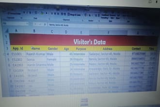 importing, filtering, and sorting data in excel