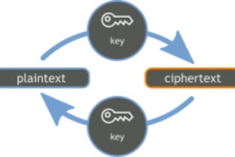 implement encryption algorithms and programs