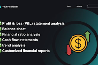 handle  financial statements, profit  loss, balance  sheet,  financial ratios
