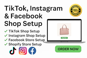 set up and manage tiktok, instagram, and facebook shops professionally