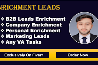 do business leads data enrichment