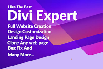build a professional wordpress website using divi theme