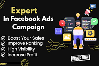 create and manage facebook ads campaign for your business and brands