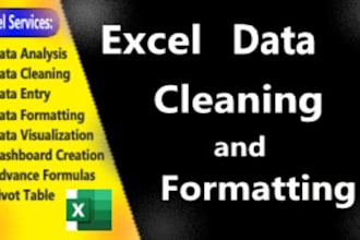 do ms excel data cleaning and formating for you