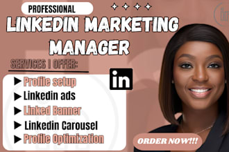 be your linkedin ads campaign manager profile setup and optimization b2b sales