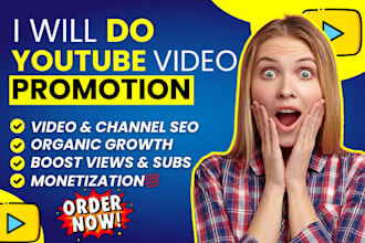 do organic USA youtube video promotion channel promotion SEO growth USA audience