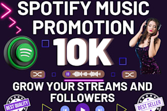 do spotify music promotion through effective ads campaign
