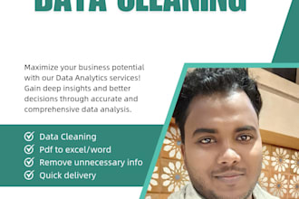 do excel data cleaning, data analysis, convert pdf to excel