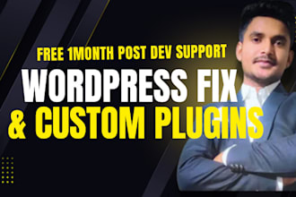 develop plugins, themes or fix wordpress issues and errors