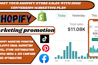 do shopify virtual assistant increase website traffic on website promotion