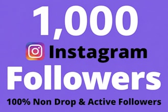 buy 1,000 instagram followers fast