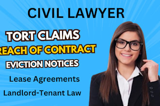 expertly draft divorce, civil, criminal lawyer, legal advice and legal documents