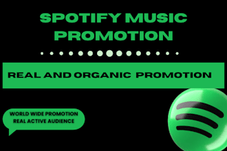 promote your spotify music with effective ad campaign