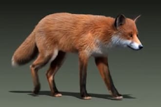 create 3d animal model creature with realistic fur xgen hair animal animation