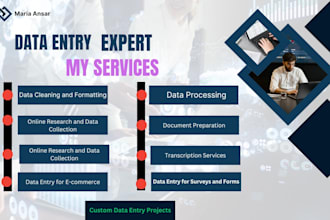 do supper fast and accurate data entry