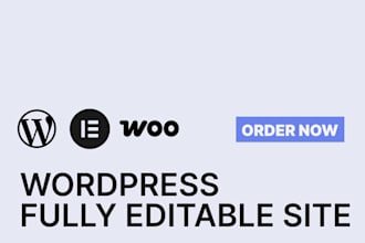 design and build business wordpress website