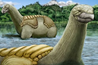 draw paleoart, speculative evolution art and creature design