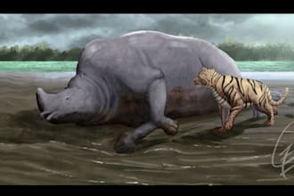 draw paleoart, speculative evolution art and creature design