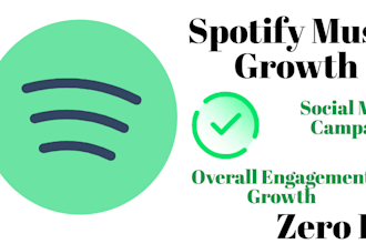 run effective google ads campaign for spotify music no bot