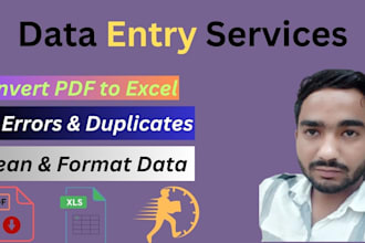convert PDF to excel, CSV to excel, and clean your data