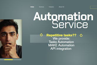 provide make com automation service with API integration
