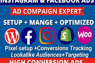 manage your facebook ads and instagram ads campaign  ecommerce lead gen expert