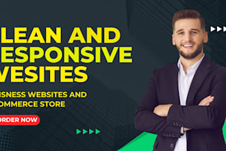 build wordpress custom website, business and ecommerce store