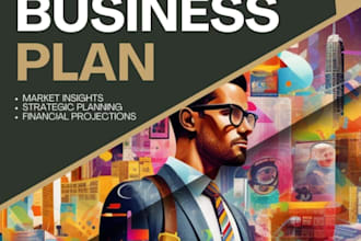write you an investor ready business plan, financial plan for your business