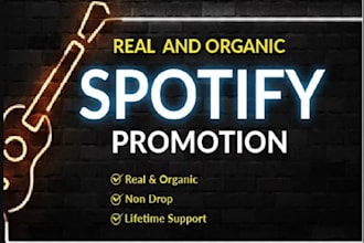 do spotify album promotion, spotify music track promotion