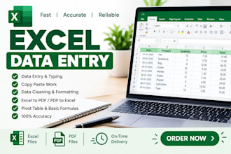 excel data entry, data cleaning and data management
