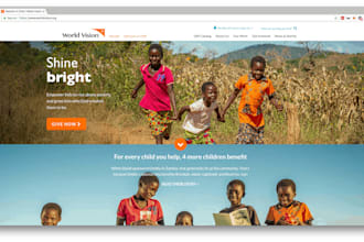 design a professional non profit, charity, ngo, donation, or fundraising website
