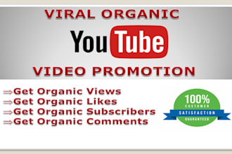 shoutout 593k organic subscribers on your youtube channel promotion