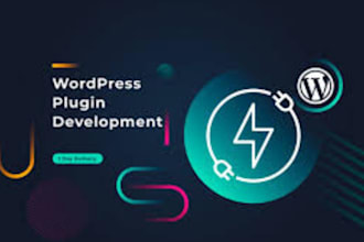 do wordpress plugin development and modification