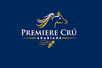 design arabians show horse logo