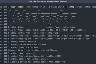 do digital forensics, malware and log analysis