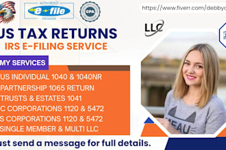prepare and e file US tax returns filing business tax filing US tax llc 147c
