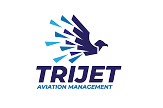 make outstanding unique aviation company logo