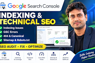 audit website index google search console technical SEO expert schema markup