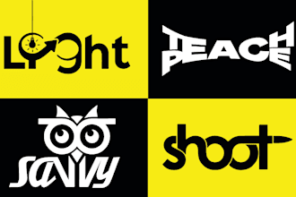 create professional custom wordmark logo design