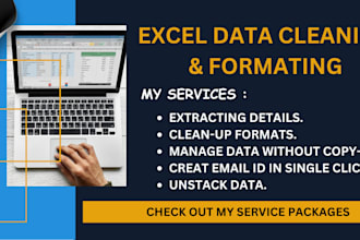 do excel data cleaning, formating, pivot taable, data split