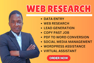 be your VA for web research job, ms word excel data entry, copy paste