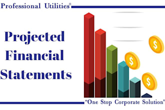 do financial statement, bookkeeping, tax return, audit and projections as a CPA