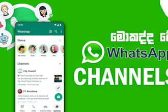 do whatsapp channel, bulk sms sender,whatsapp followers, channel, group bot
