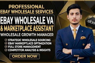 be your ebay wholesale va and ebay marketplace expert