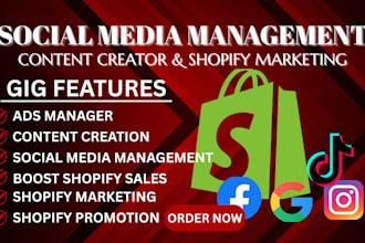 boost shopify sales social media manager marketing facebook ig ads promotion