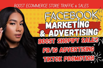 manage shopify website traffic facebook instragram ads shopify sales marketing