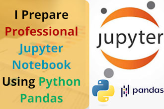 develop professional jupyter notebook using python pandas